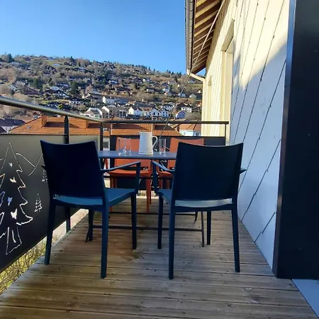 Grand Duplex 4ch - Hypercentre - Terrasse Et Parking Apartment La Bresse