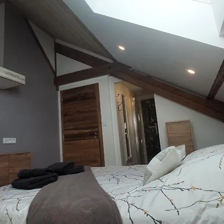 Apartment Grand Duplex 4ch - Hypercentre - Terrasse Et Parking La Bresse