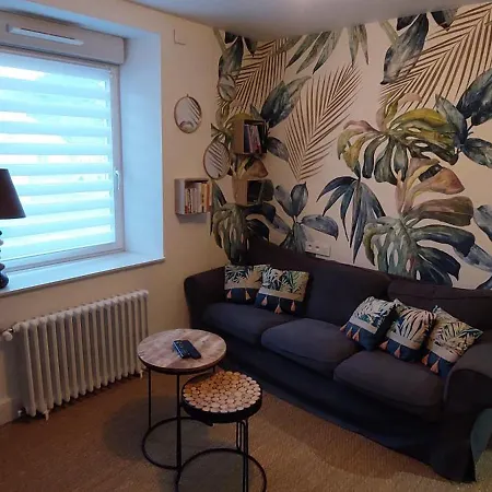 Apartment Grand Duplex 4ch - Hypercentre - Terrasse Et Parking La Bresse