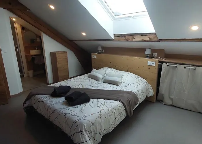 Spacieux Duplex Avec Terrasse Tres Apprecie Des Voyageurs Au Coeur De - De 2 A 8 Personnes Apartment La Bresse