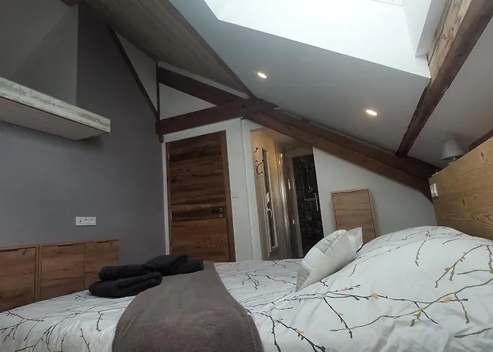 Apartment Spacieux Duplex Avec Terrasse Tres Apprecie Des Voyageurs Au Coeur De - De 2 A 8 Personnes La Bresse